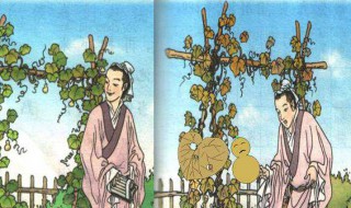 我要的是葫芦介绍 我要的是葫芦相关资料