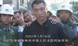 征服电视剧剧情 征服电视剧剧情简介