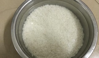 包粽子糯米泡几个小时 包粽子糯米泡几个小时最佳