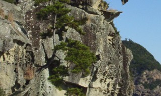 五行属土寓意最好的字 五行属土寓意吉祥的字