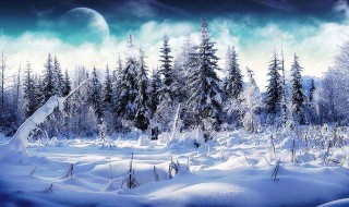 形容冬天的句子（形容冬天的句子小学生）