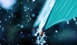 写雨的作文（写雨的作文300字左右）