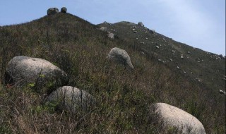 芙蓉山主人是谁 芙蓉山在哪