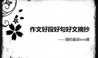 优美文段摘抄（优美文段摘抄300字）