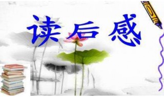 关于读后感的作文 关于读后感的作文500字