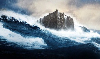 什么是诺亚方舟（什么是诺亚方舟真实）