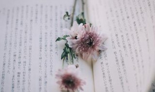 qq飞车名字符号 qq飞车名字符号怎么打