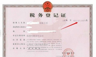 纳税人识别号在哪里 纳税人识别号在哪里看图片