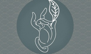 兮字取名寓意好吗(韩羽兮字取名寓意好吗)