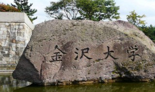 去日本留学多少钱（去日本留学多少钱一年）