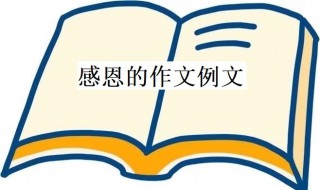 有关感恩的作文 有关感恩的作文600