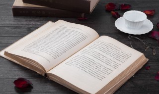 凤凰涅槃是什么意思 凤凰涅槃是什么意思及读音