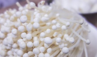 金针菇炒培根肉怎么做（金针菇炒培根肉怎么做的）