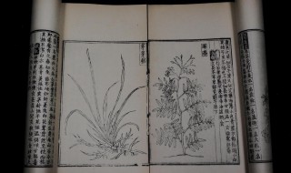 救荒本草是什么时期的著作 《救荒本草》是什么朝代的书?