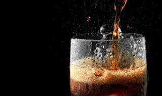 快乐肥宅水后半句是什么（快乐肥宅水出处）