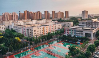 重点大学和一本的区别（重点大学和一本的区别费用）