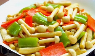 素炒海鲜菇的做法（素炒海鲜菇的做法大全）