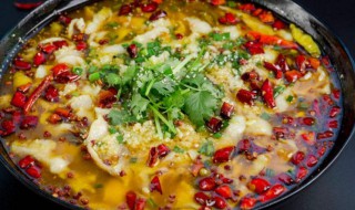 川味泡菜鱼做法窍门 川味泡菜鱼做法窍门是什么