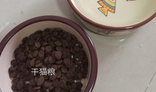 烘培猫粮怎么做（烘培猫粮怎么做视频）