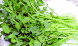 豆瓣菜的做法 豆瓣菜的做法大全家常