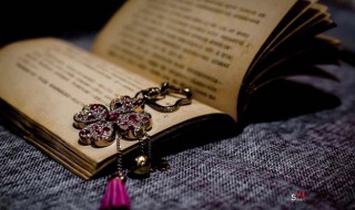 声泪俱下的意思（声泪俱下的意思解释）