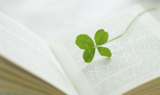 涅槃重生什么意思 历劫归来,便是涅槃重生什么意思