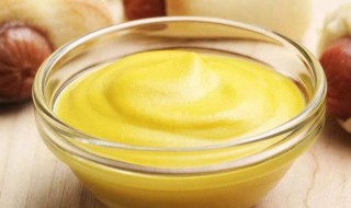 黄芥末和绿芥末的区别是什么 黄芥末和绿芥末的区别是什么意思