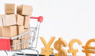 预售款是什么意思（手机预售款是什么意思）