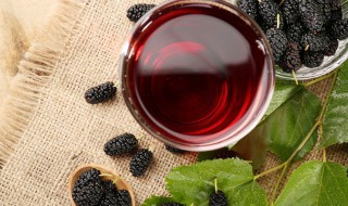 新鲜桑葚泡酒多久可以喝 新鲜桑葚酒泡多久才可以饮