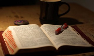 笋盘是什么意思 笋盘是什么意思 百度经验