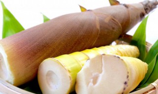 油焖笋的制作方法（油焖笋的制作方法视频）