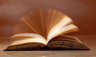 传承的意思是什么（传承的意思是什么?）