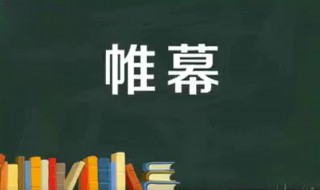 帷幕的意思（落下帷幕的意思）