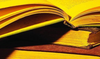 特性的意思 特性的意思怎么解释