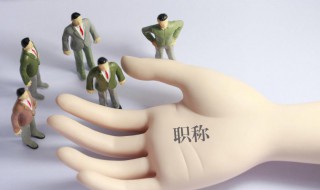 职称是什么意思（职称是什么意思怎么填）