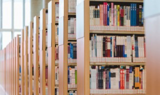 whisper什么意思(whisper什么意思中文)