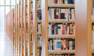 神可以组什么词语(神可以组什么词语?)