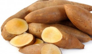 雪莲果可以冻着吃吗（雪莲果可以冷冻吗）