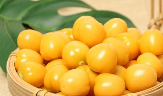 姑娘果不洗可以吃吗（姑娘果洗不洗）