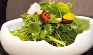 凉拌田七的做法 凉拌田七的做法大全