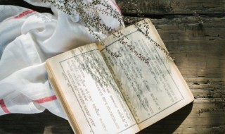 31是质数吗(1031是质数吗)