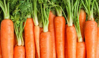 狗肉和胡萝卜一起吃有什么好处 狗肉和胡萝卜一起吃有什么效果