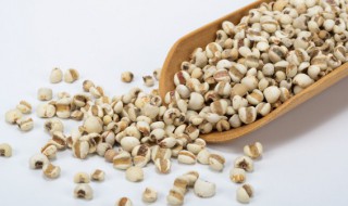 红豆薏米不能和什么一起吃（红豆薏米不能和什么一起吃会中毒）