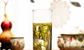 毛尖茶的副作用需要注意什么 毛尖茶的副作用需要注意什么问题