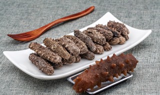 海参能和牛肉一起吃吗（海参能和牛肉一起吃吗早餐）