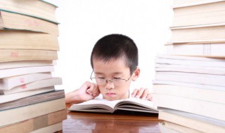 古诗画眉鸟的意思 古诗画眉鸟的意思讲解