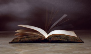 百舸争流读音 千帆竞发百舸争流读音