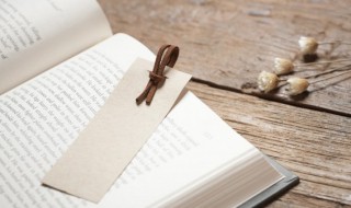 鬣狗读音 斑狗鬣狗读音