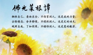 佛光菜根谭介绍