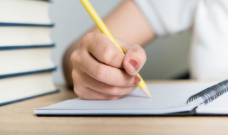 遨游汉字王国作文（遨游汉字王国作文500）